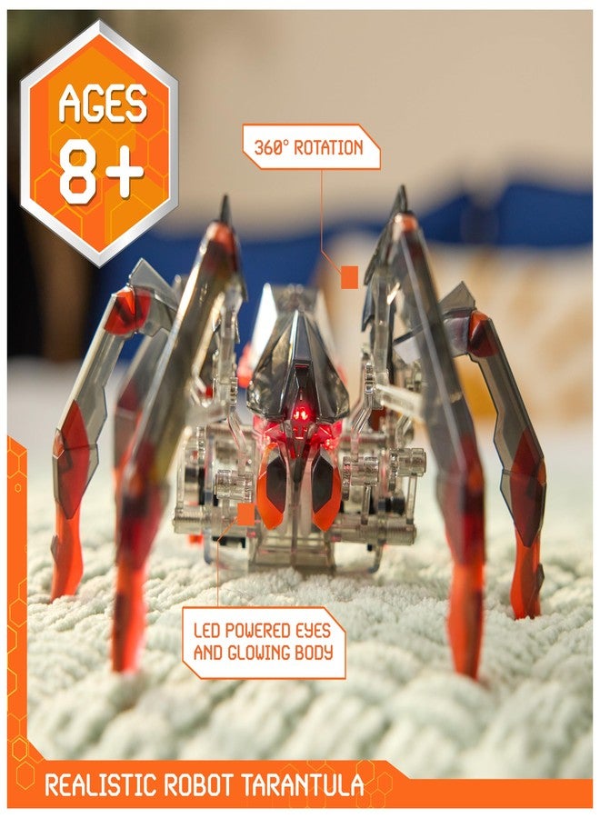 روبوتات سداسية عنكبوت رتيلاء يعمل بجهاز تحكم عن بعد من هيكس بوتس، ألعاب عنكبوت روبوت قابلة لإعادة الشحن للأطفال، عنكبوت رتيلاء روبوتي قابل للتعديل، ألعاب روبوت للأولاد والبنات من عمر 6 سنوات فما فوق - Image 2